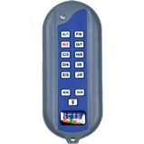 H-ITT iCue Wireless Audience Response Remote for interactive corporate training and employee engagement